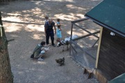 Зоопарк Радуга в Зеленогорске