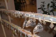Музей живых бабочек «Тропический рай»