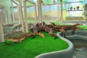 Выставка рептилий «Croco Park»