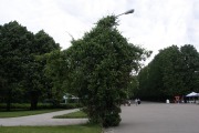 Центральная площадь Приморского парка