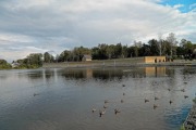 Колтушское озеро