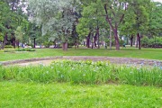 Александровский парк (Петроградский район)
