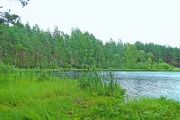 Круглое озеро (Тосненский район)