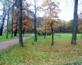 Парк Новознаменка